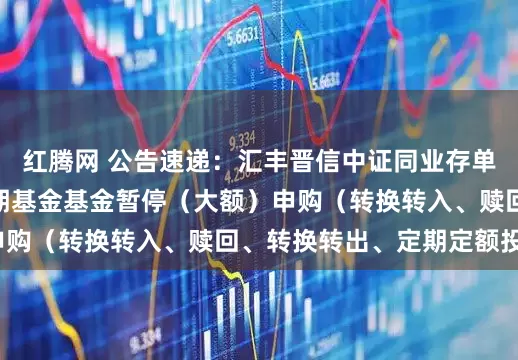 红腾网 公告速递：汇丰晋信中证同业存单AAA指数7天持有期基金基金暂停（大额）申购（转换转入、赎回、转换转出、定期定额投资）