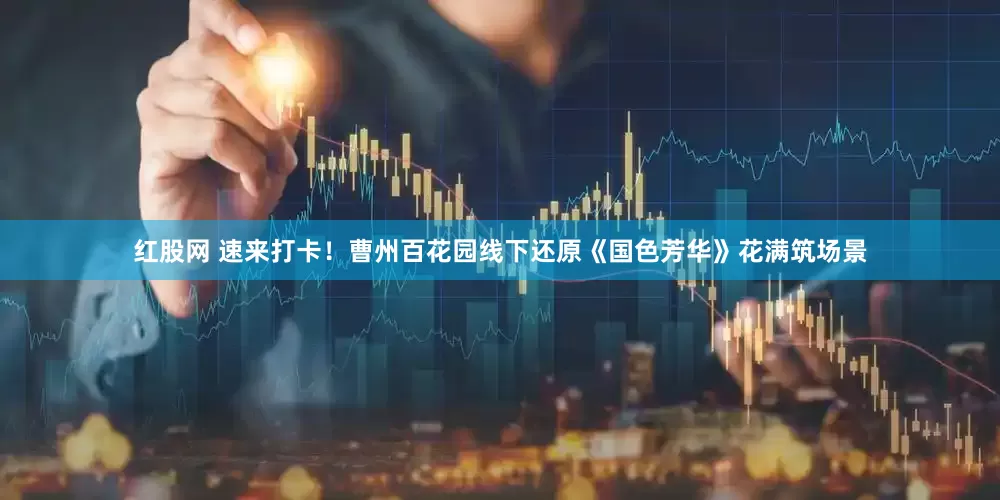 红股网 速来打卡！曹州百花园线下还原《国色芳华》花满筑场景