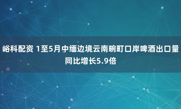 峪科配资 1至5月中缅边境云南畹町口岸啤酒出口量同比增长5.9倍