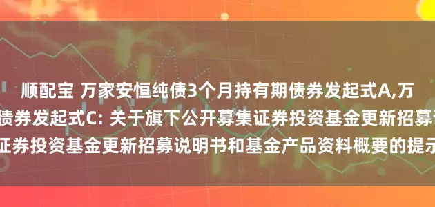 顺配宝 万家安恒纯债3个月持有期债券发起式A,万家安恒纯债3个月持有期债券发起式C: 关于旗下公开募集证券投资基金更新招募说明书和基金产品资料概要的提示性公告