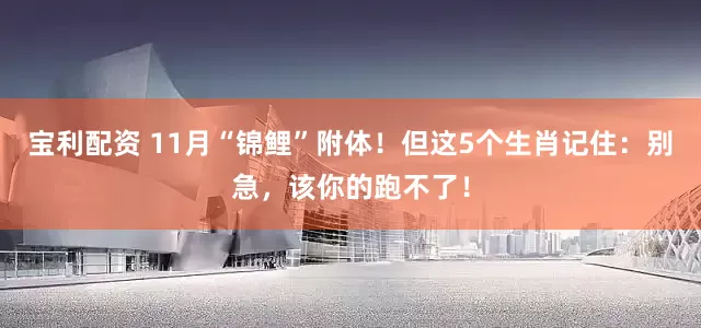 宝利配资 11月“锦鲤”附体！但这5个生肖记住：别急，该你的跑不了！