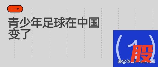 中国足球小将九年：一场社会化青训实验 曙光与挑战并存